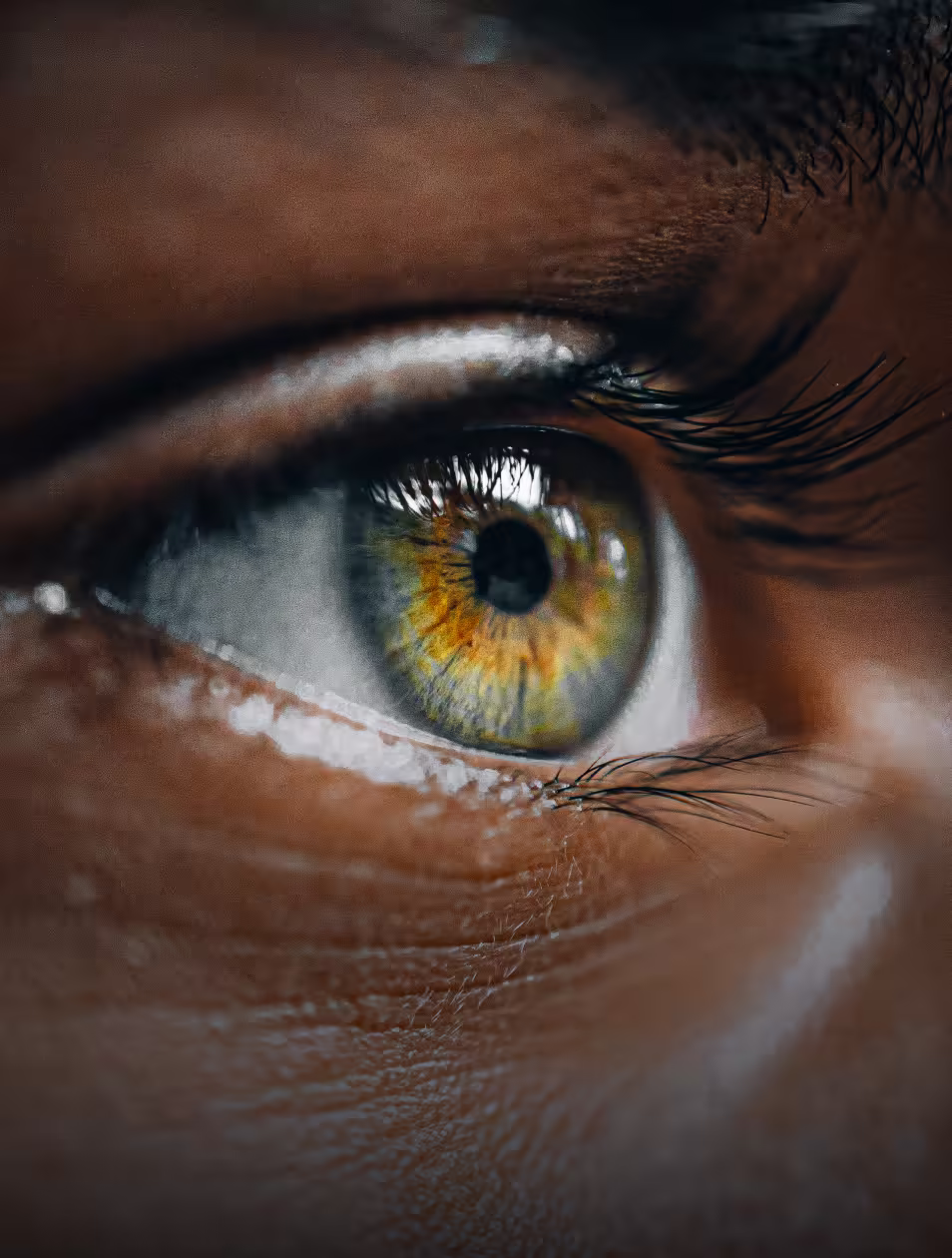 Closeup of Eye photo