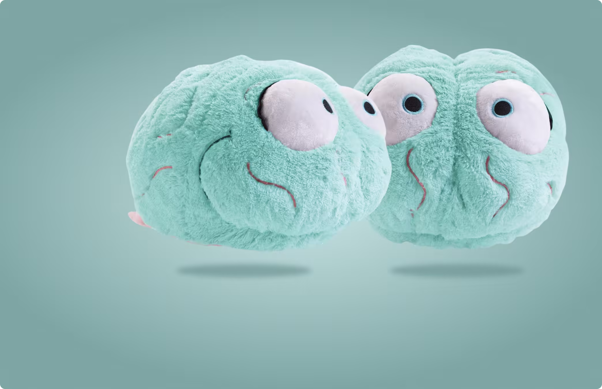 Pet Brain Plushie
